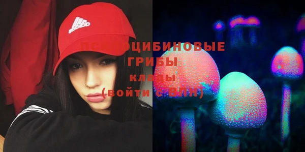 тгк Медногорск