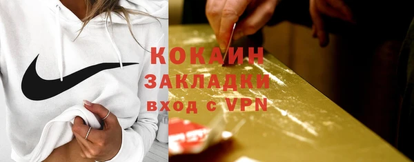индика Бердск