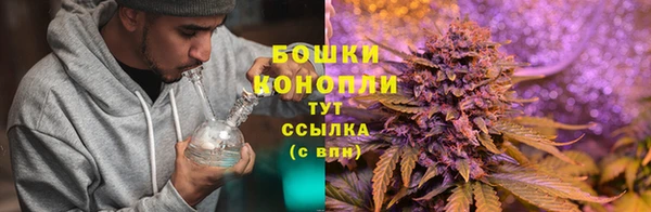 тгк Медногорск