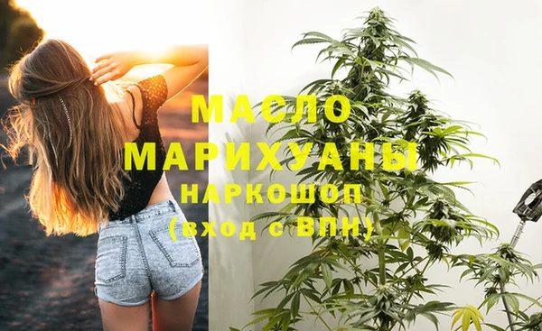 сатива Мегион